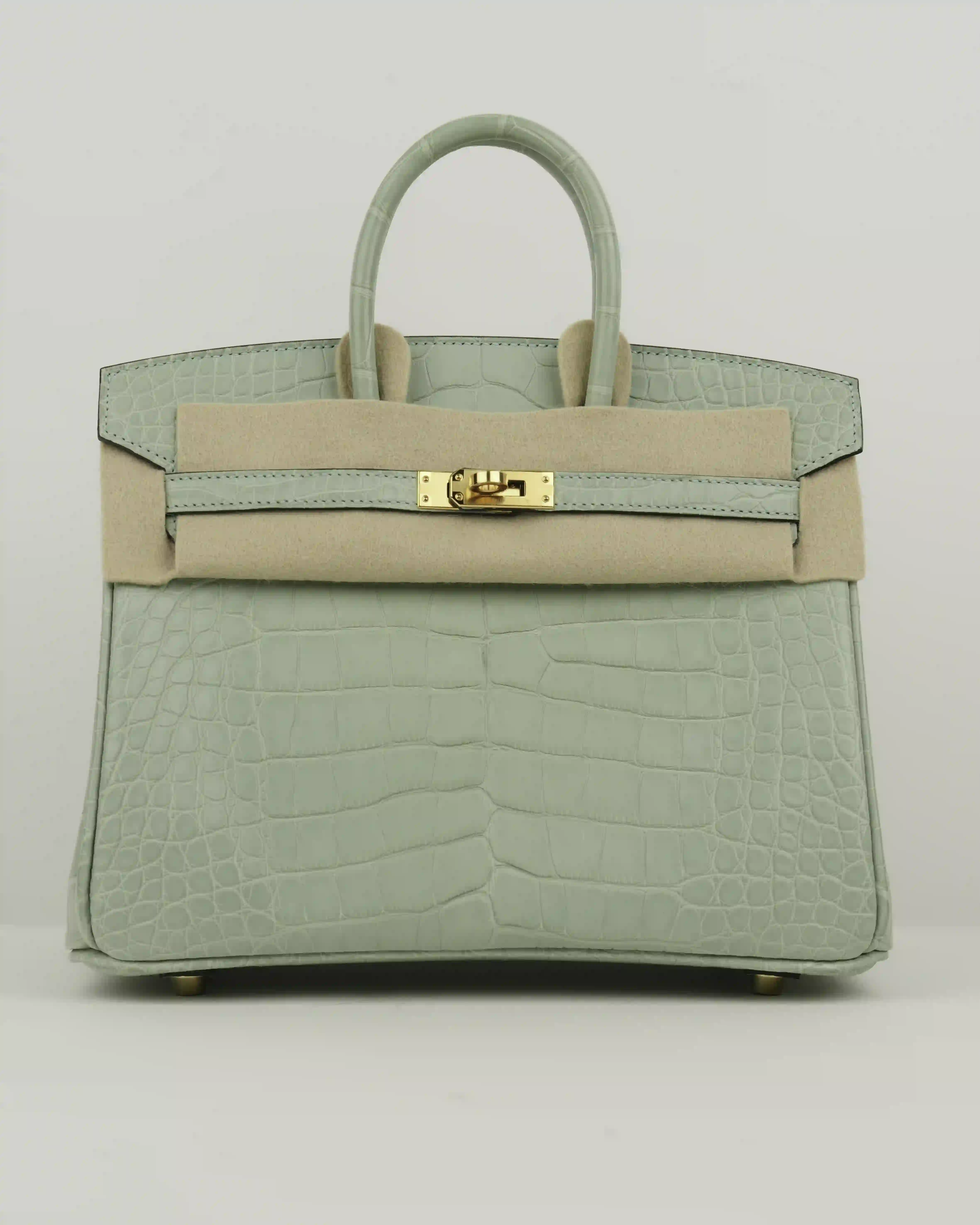 HERMES SAC BIRKIN 25 ALLIGATOR  - Image 1